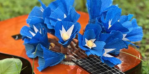 la chitarra nel prato