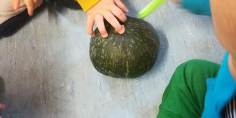 attività e giochi con la zucca