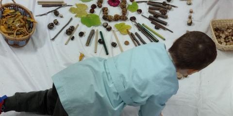 attività con elementi naturali