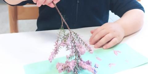 la natura entra a scuola