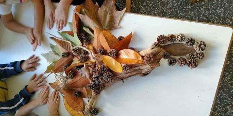 attività con elementi naturali, pigne e foglie