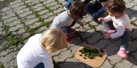 bambini giocano in  in terrazzo 