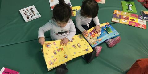 attività di lettura