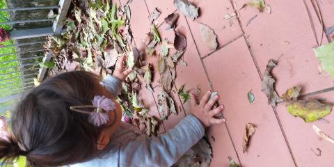 attività con le foglie  nel terrazzo