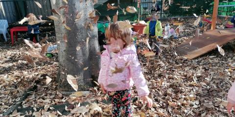 gioco con le foglie  in giardino