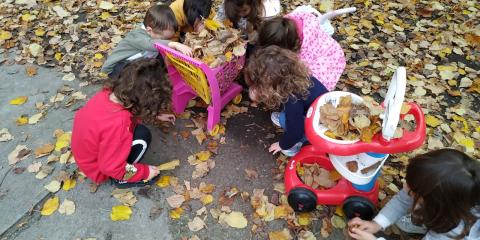 attività in giardino con le foglie