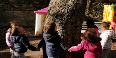 giochi attorno all'albero