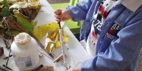 attività con elementi naturali  in classe