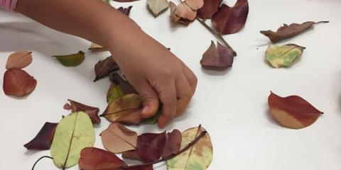 attività e giochi con foglie secche