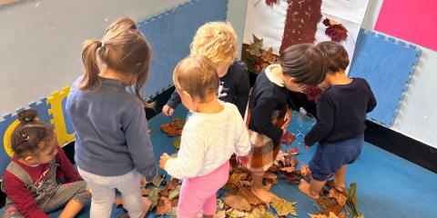 l'albero in autunno- attività con pitture e foglie