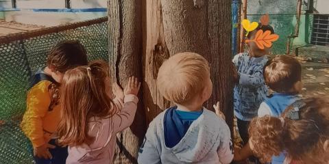 attività in giardino attorno all'albero