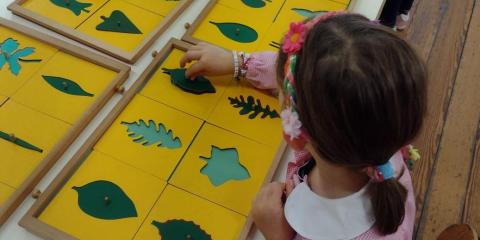 giochi