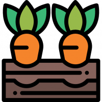 icona categoria
