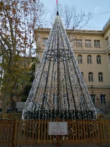 L'albero di Natale in piazza Galileo Ferraris
