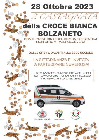 2 castagnata 