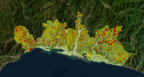 Componente geologica