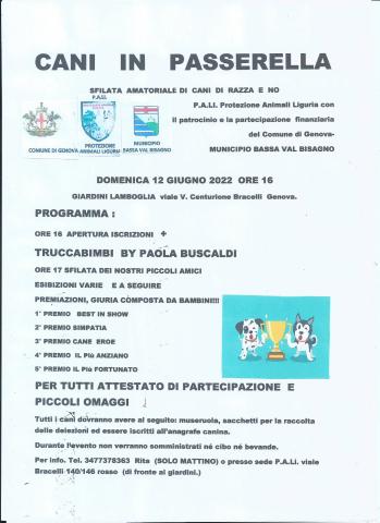 Cani in passerella Cani in passerella