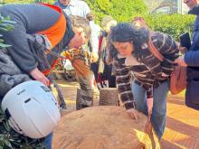 L'assessora Coppola guarda il "cretto" (fenditura) presente nel tronco del pino appena tagliato
