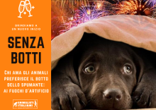 primissimo piano di  cane con occhi spaventati