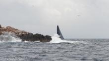 una barca a vela doppia un promontorio (ph vincenzo bianco)