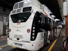 bus