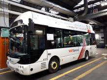 bus