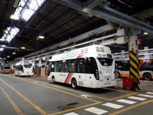 bus