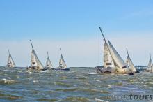 credits FB Dimatour con Clipper Round the World Yacht Race a Punta del Este, dipartimento di Maldonado, Uruguay.