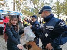 Al parco dell'Acquasola la Giornata del cane: oltre 40 alla sfilata e le simulazioni dei nuclei cinofili 