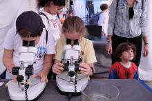 festival della scienza