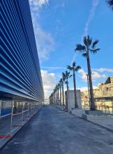 waterfront palme