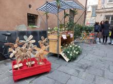 bancarella di piante verdi all'esterno dell'emporio