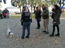 Al parco dell'Acquasola la Giornata del cane: oltre 40 alla sfilata e le simulazioni dei nuclei cinofili 