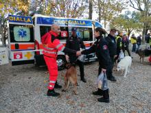 Al parco dell'Acquasola la Giornata del cane: oltre 40 alla sfilata e le simulazioni dei nuclei cinofili 