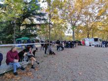 Al parco dell'Acquasola la Giornata del cane: oltre 40 alla sfilata e le simulazioni dei nuclei cinofili 