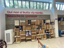 Surplus