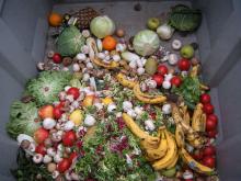 Verdure varie