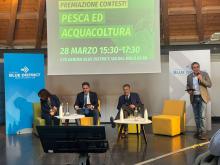 Contest creativo Pesca e Acquacoltura, svelati i tre vincitori