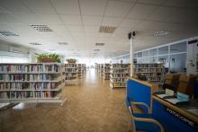 biblioteca benzi