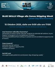 Blue Skills Village-Pannello