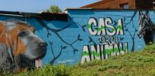 Un murales con i disegni di due cani e al centro, su sfondo azzurro, la scritta "Casa degli animali"