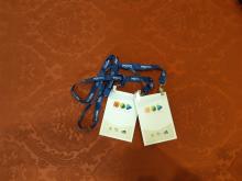 Convegno “Greening the visual”