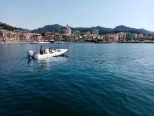 gommone
