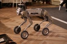 GESW 25_Crazy for Startup robot