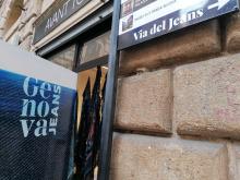 genova jeans