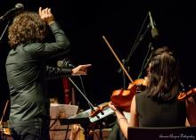 violinista e direttore d'orchestra di spalle