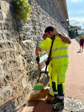 Giornata della cura Nervi