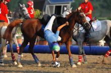 HORSEBALL archivio FISE