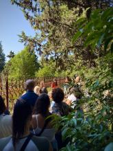 Un momento dell'itinerario "Dormono sulla collina" nel Boschetto irregolare Un momento dell'itinerario "Dormono sulla collina" nel Boschetto irregolare