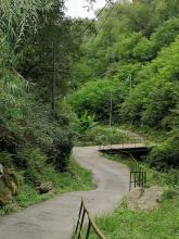 la strada che attraversa il rio Molinassi, circondata dai boschi